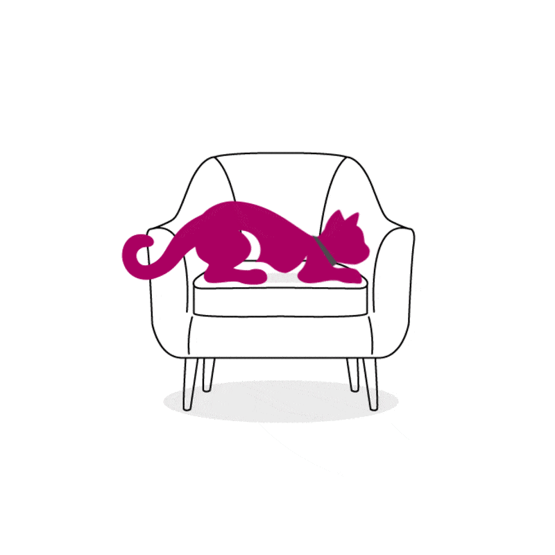 Chat est assis sur le canapé et se repose