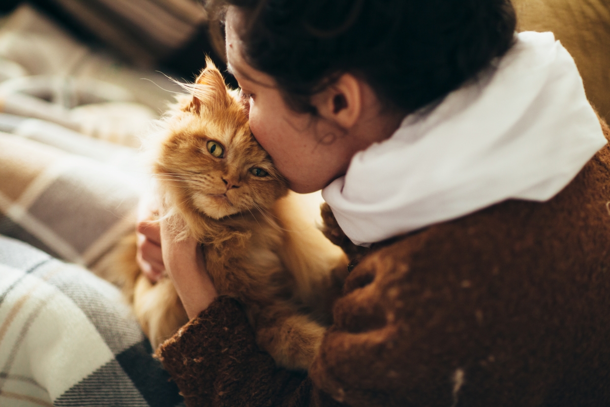 Une dame embrassant le chat orange.