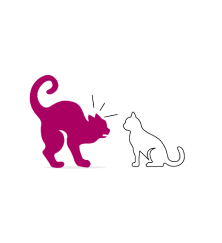 Chat est agressif envers les autres chats