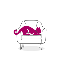 Chat est assis sur le canapé et se repose