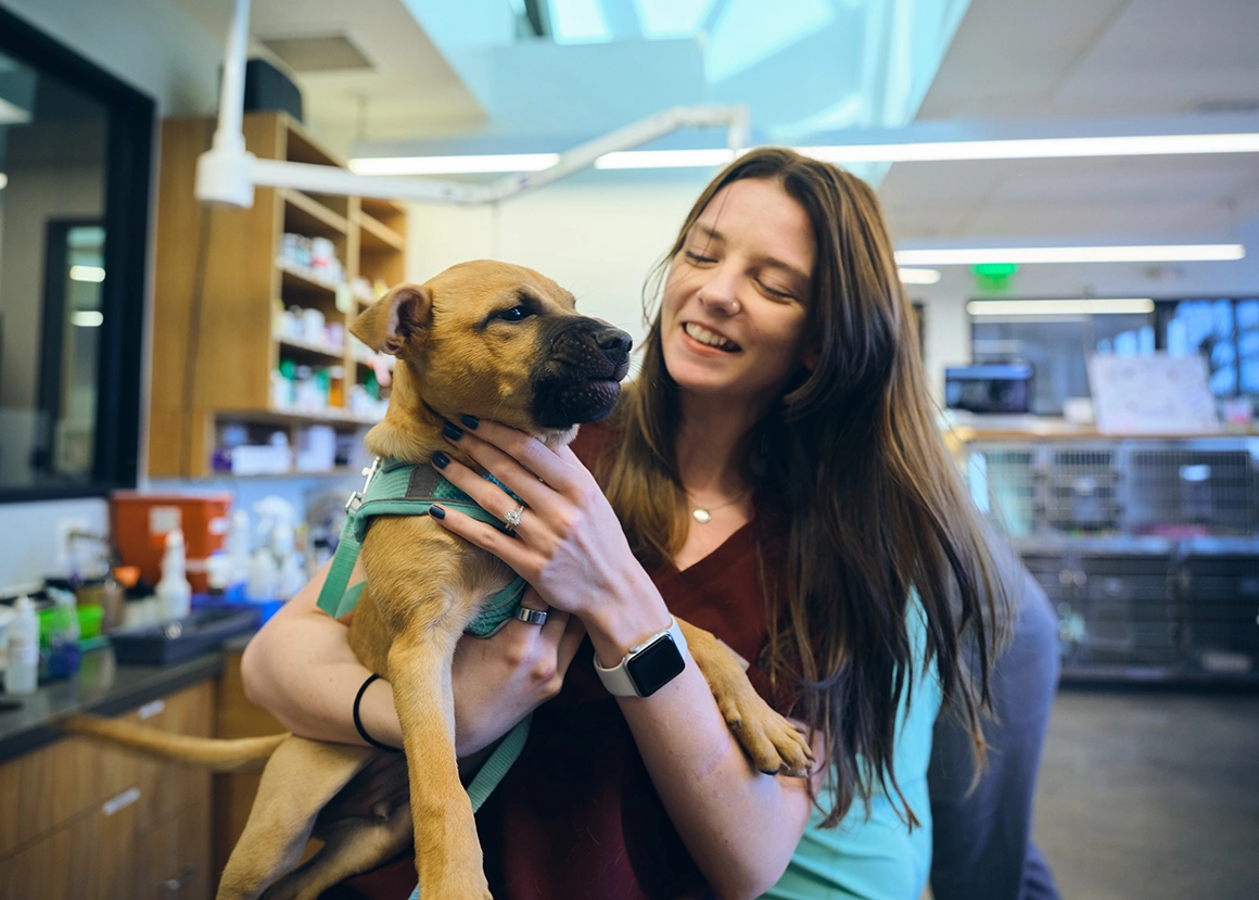 Amici Pet Hospital