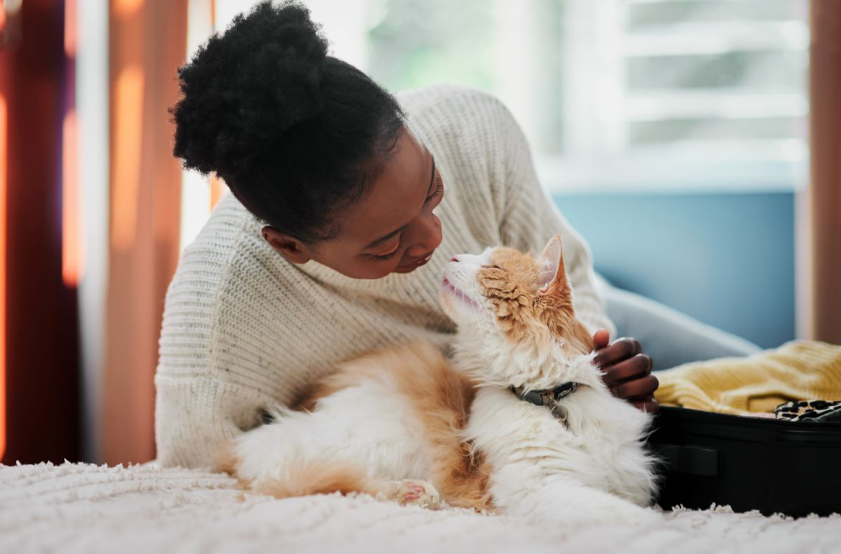 Person cuddling with a fluffy cat on a bed.