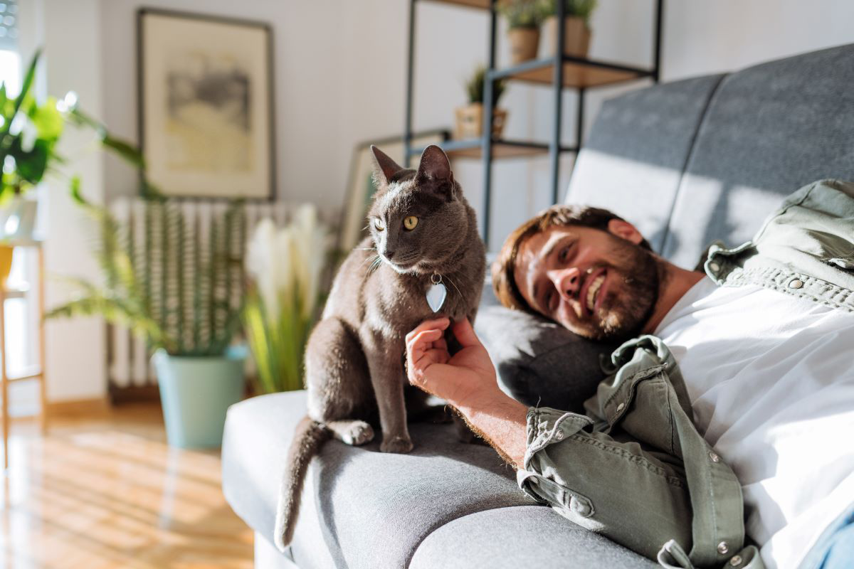 Homme se relaxant sur un canapé avec un chat gris.