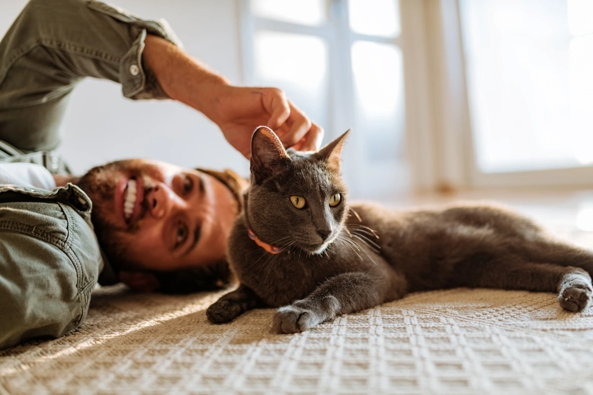 Man lying on floor, petting a gray cat.